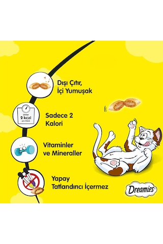 Dreamies Tavuklu Kedi Ödülü 6 x 60 G