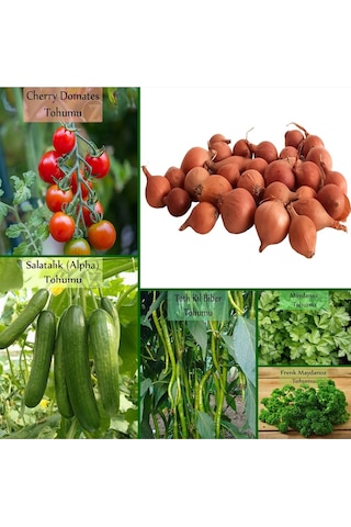 6 Paket Tohum No7 Iska Soğan Tohumu Arpacık Soğan Çeri Domates Frenk Maydanoz Salatalık Biber Tohumu