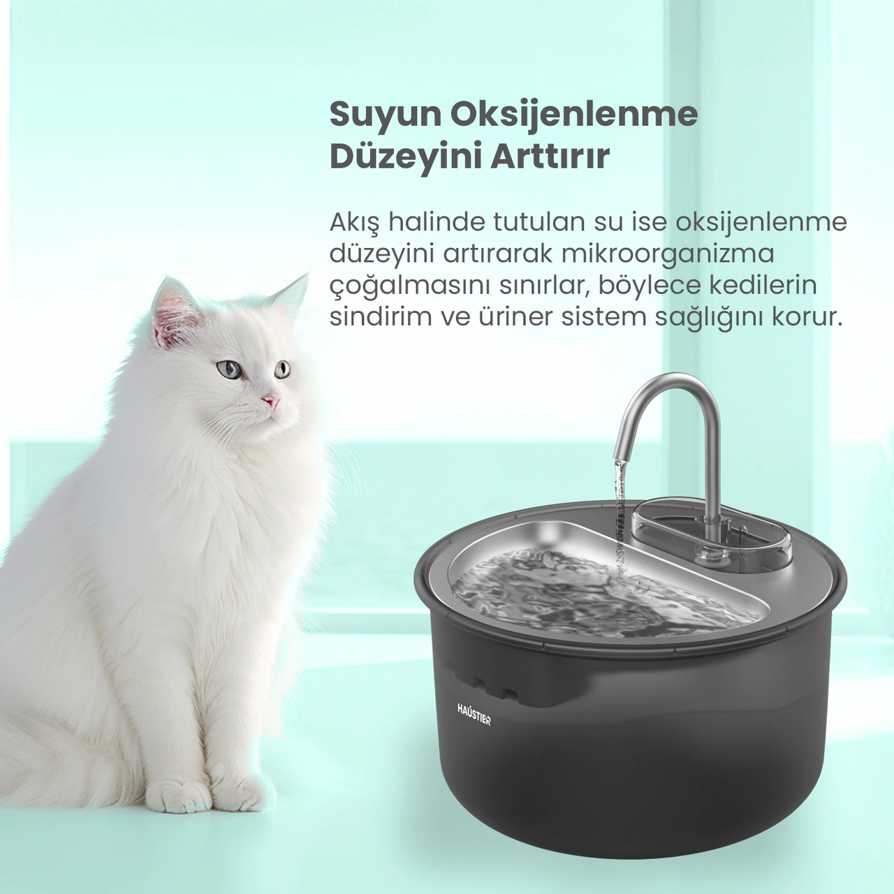 Haustier Wf009ls Siyah Otomatik Kedi Su Pınarıi Kedi Su Kabı