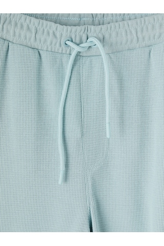 Lcwaıkıkı Classic Turkuaz Regular Fit Erkek Şort