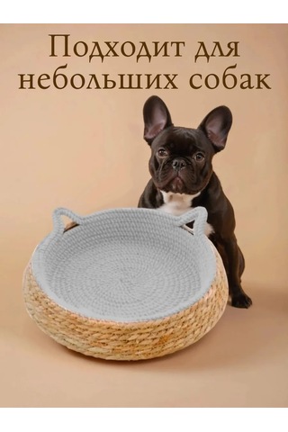 Vektorı Kediler Ve Köpekler İçin Tırmalama Tahtalı Yatak 463888976