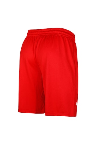Puma Turkey Practice Short Erkek Türkiye Basketbol 60547202 Kırmızı 60547202 Kırmızı