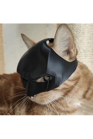 Siyah Batman Kedi Maske - Giyilebilir Kedi Maskesi Evcil Hayvan Maskesi 1 Adet