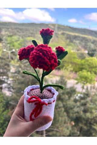 Örgü Saksılı Beyaz Karanfil Hediye