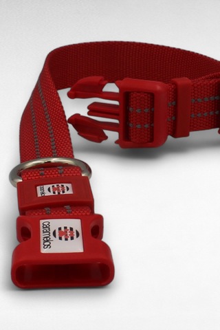 Caramelos Reflektörlü Köpek Tasması, Kişiye Özel Köpek Tasması. Büyük Ive Orta Irk Köpek Tasması Krm Kırmızı