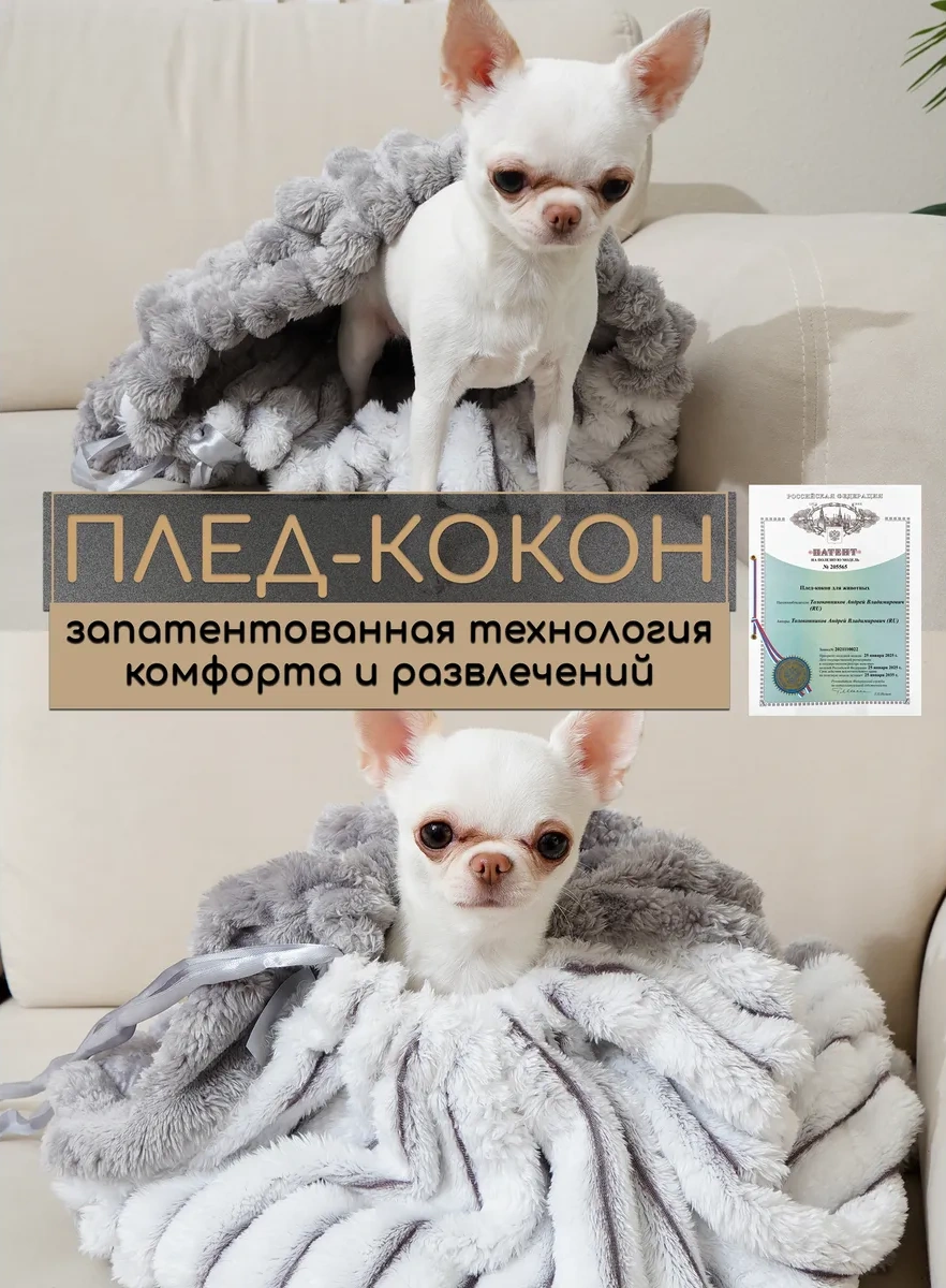 Kajfusi Köpekler, Kediler Ve Diğer Hayvanlar İçin Çift Taraflı Konfor Trüf 453361559