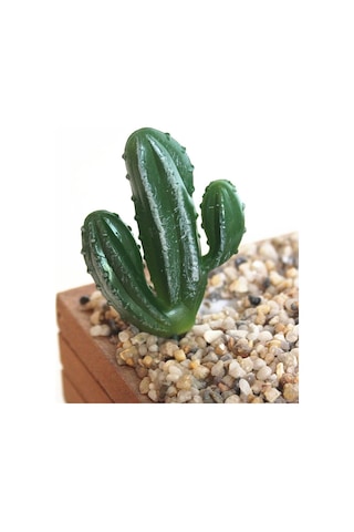 Sones 2 Adet Yapay Mini Kaktüs Bahçe Peyzaj Ev Ofis Dekorasyonu, Stil: Bir Kaktüs