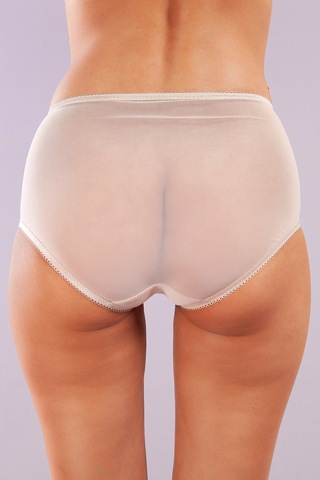 Golshan Gaspara Control Slip, Kadın Güpürlü Tül Ten Renk Yüksek Bel Külot Çok Renkli