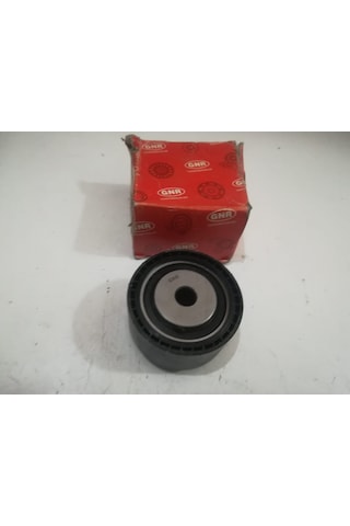 P206 EKSANTRİK GERGİ RULMANI GNR60070
