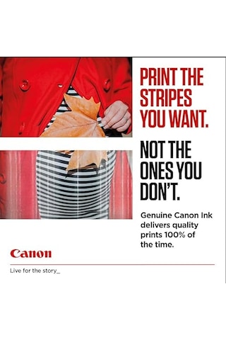 Canon Cl-546 Renkli Mürekkep Kartuşu 8289b001