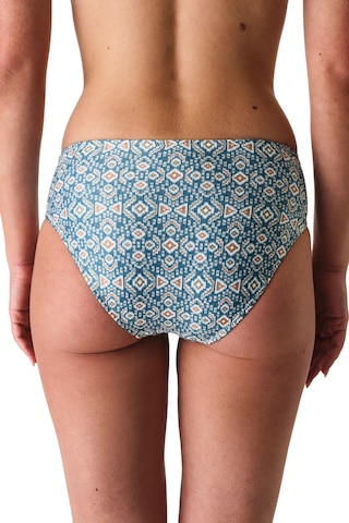 Penti Renkli Beatriz Twist Bikini Altı