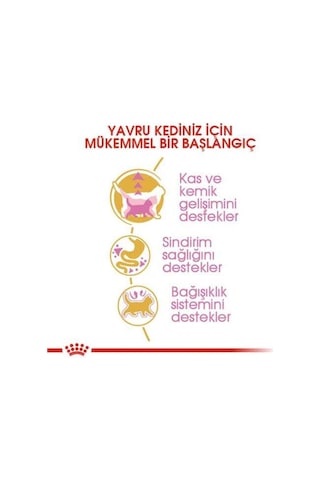 Royal Canin British Shorthair Yavru Kedi Maması 2 KG