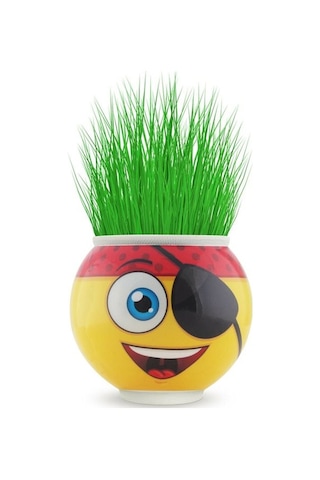 Doğal Çimoji Emojili Eğitici Çim Kafa Kukuli Çim Adam 24 Adet