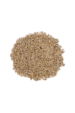 Katzoo Sade Kanarya Yem Cift Eleme 20 KG