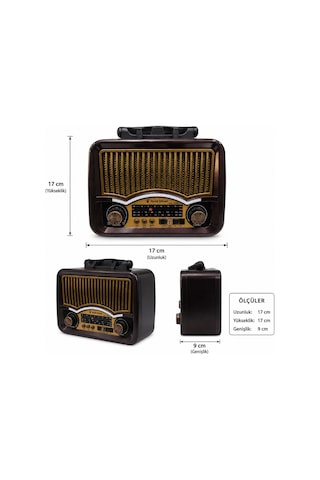 Gold Silver Gs-1360 Nostaljik Tasarım Bluetooth Radyo Yedek Pili