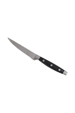 Abs Siyah Saplı Lüks Steak Bıçağı 21 Cm Siyah
