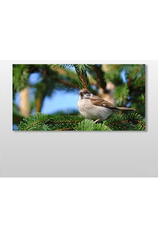 Serçe Kanvas Tablo