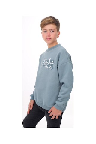 Toontoy Erkek Çocuk Baskılı Sweatshirt Mavi