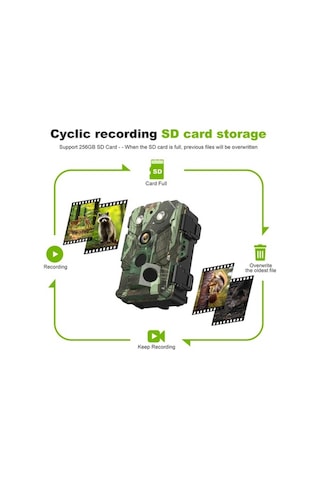 Dancemonkey Kamera Yaban Hayatı 32mp 1080p Kızılötesi Hareketle Etkin Çok Renkli