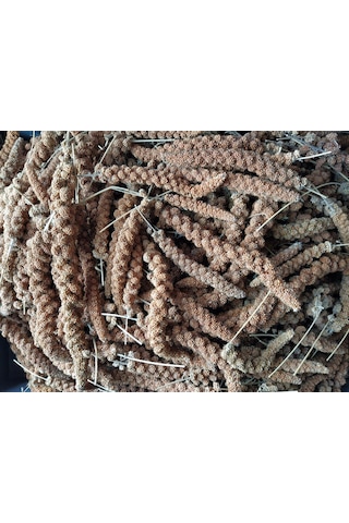 Doğal Kızıl Dal Darı Kuş Yemi 100gr (Min:10cm-Max:20cm Uzunluk)