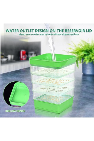 Suntek Magideal Brokoli Yonca Tohumları Için Tohum Filizleme Kitleri