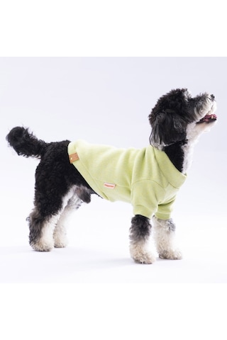 Pawstar Yellow Merino Sweat Medium 26x28x41 Cm