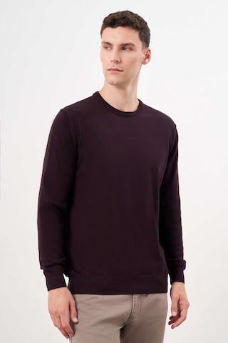 Morven Erkek Mor Basic Bisiklet Yaka Dynamic Fit Rahat Kesim Triko 26kc017006309 Mor