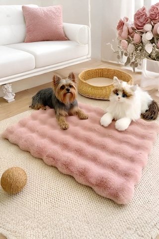 My Evilla Peluş Yumuşak Yıkanabilir Bubble Kedi Köpek Yatağı Minder