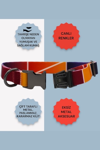 Caramelos Köpek Tasması-küçük Irk Ve Orta Irk İsimli Tasma 01 Sarı - Siyah