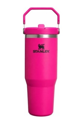 Koyu Pembe Renkli 0.89 Litre Termos İle Şık Tasarım 01