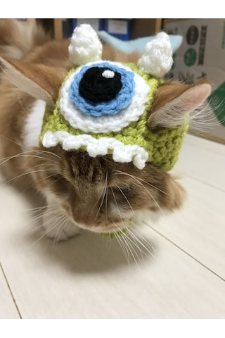 Busako Cat Nazar Boncuğu Özel Tasarım Kedi Kıyafeti Busako Cat Nazar Boncuğu Özel Tasarım Kedi Kıyafeti