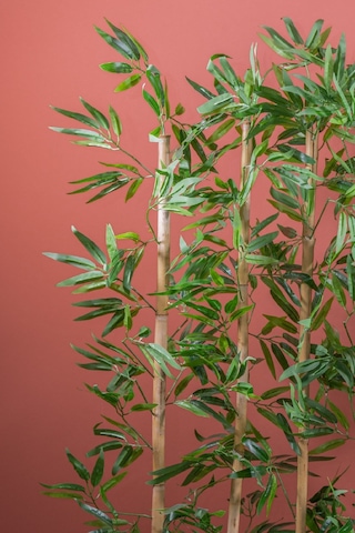 Yapay Çiçekçiniz 140 Cm Bambu Seperatör beyaz