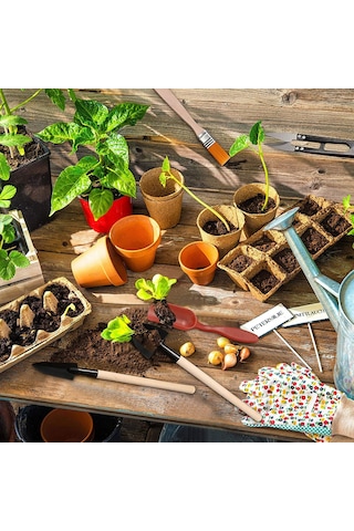 Qingmipy 13 Parçalık Mini Bahçe Alet Seti - Sukulent, Kaktüs Ve Bonsai Dikimi İçin Pratik Çapa, Makas Ve Fırça Takımı