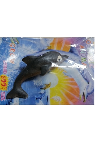 Suda Büyüyen Deniz Canlısı Minicik Yunus Balığı