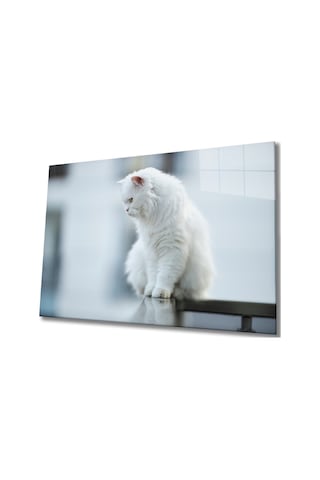Beyaz Kedi Cam Tablo