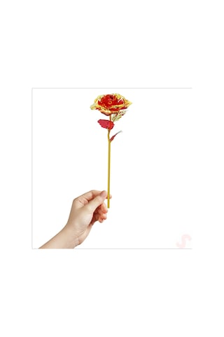 Sonsuzluk Gülü, 25 Cm X 8cm - Kırmızı