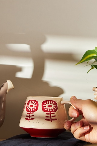 Emsan Ethnic Grass Kupa 480 ML Bordo