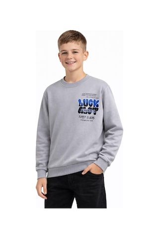 Baglan Erkek Çocuk Önü Arkası Baskılı Sweatshirt Bgl-st05237 Gri