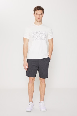 Ac&Co / Altınyıldız Classics Erkek Antrasıt Standart Fit Normal Kesim 2 Iplik Cepli Recycle Pamuklu Örme Şort Antrasit