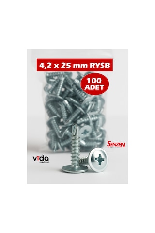 4,2x25 Rysb Pul Başlı Matkap Uçlu Vida 100'lü 1