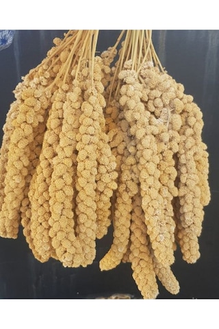 Sarı Dal Darı 250 Gr Sarı Dal Darı Sarı Daldarı 250 Gr Diğer Sarı Dal Darı 250 Gr Sarı Dal Darı Sarı Daldarı 250 Gr Diğer
