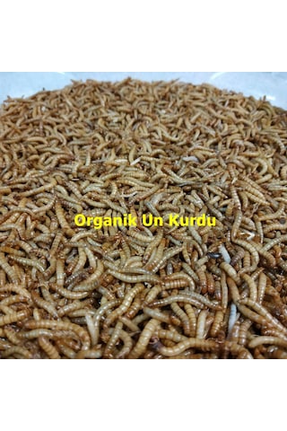 Un Kurdu 1 Kg Un Kurdu 1 Kg