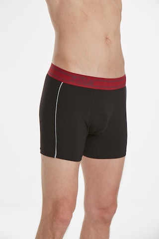 X Man 742 Siyah Erkek Boxer Siyah