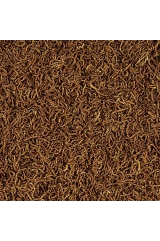 Tropical Meal Worms Kurutulmuş Un Kurdu 100 Ml / 13 Gr