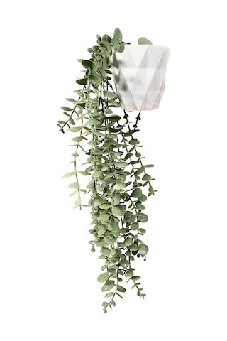 Yapay Çiçek Midi Beyaz Saksılı Pastel Yeşili Okaliptus Sarkıtı