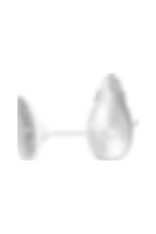 Red Fox Titreşim Ayarlı Klitoral Vakum Masaj Pompası - Fantsy Partner