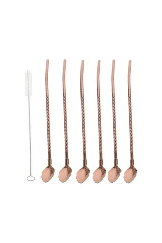 6'lı Bronz Pipetli Latte Kaşığı Kokteyl Kaşığı Ve Temizleme Fırçası, 22 Cm Yaprak Model Bronz