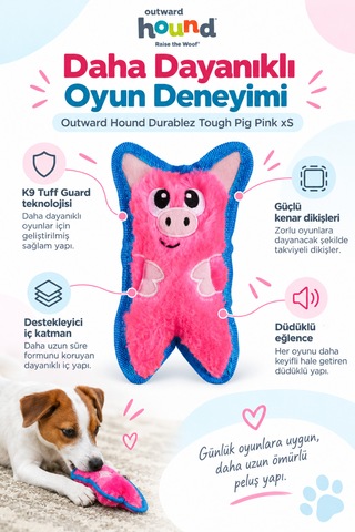 Petstages Durablez Tough Pig Pink Düdüklü Dayanıklı Peluş Köpek Oyuncağı Xsmall