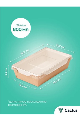 Cactus Tek Kullanımlık Trifle Kutuları, 800 Ml Gıda Kapları 224868223 100 adet