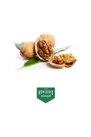 Kb Köyceğiz Yöresel Köyceğiz Cevizi 1500 G